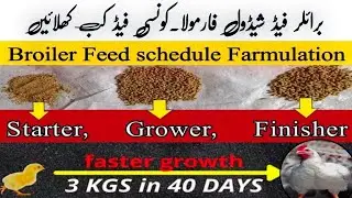 Broiler Chicks Feed Schedule Farmulation 2026 | Broiler feed chart