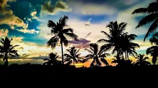 Poco F1 # camera  test  -_- video #vlog 20