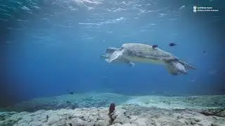 Deep Ocean Mission: Advancing India&rsquo;s Deep-Sea Science for a Sustainable Blue Economy