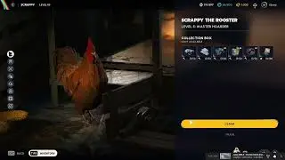 Getting Max Storage space! Arc Raiders Solo
