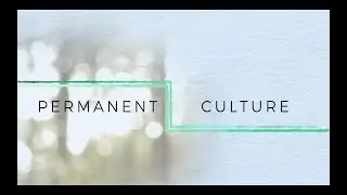 Permanent Culture