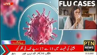 Influenza Cases Rise Across Pakistan Including Lahore  Health Alert Issued PTN NEWS