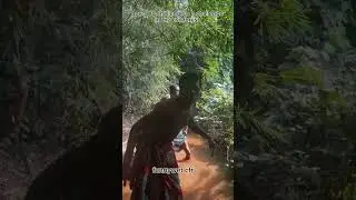 Wo challenge gone wrong 🤣🤣🤣 #comedy #nollywood #youtubeshorts