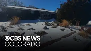Lawn replacement program in Westminster helping homeowners with hefty water bills