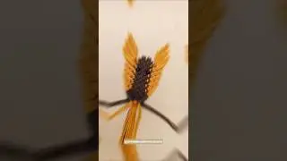 Macrame Rat 🐀 || macrame animals || diy mouse #viralvideo #diy #shorts