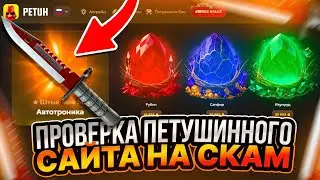ПРОВЕРКА ПЕТУШИННОГО ОПЕНКЕЙСА. PETUH ПОКАЗАЛ СЕБЯ ДОСТОЙНО!  ЧТО ЗА КЕЙС-БАТЛ НА МИНИМАЛКАХ?