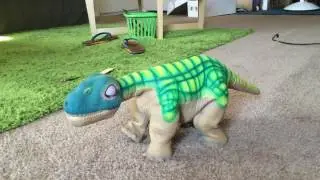 Green Pleo rb 2