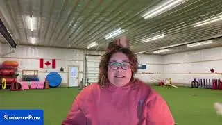 Getting Your Dog Ready For Trialing