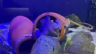 四国水族館 25/12/23