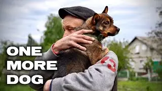 One More Dog - Ukraine Frontline Dog Rescue Documentary