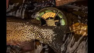 Native Series: Rio Grande Cutthroat Reel