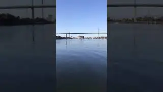 MSC Archimidis arrives at Swanson Dock