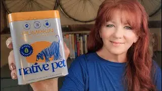 Organic Pumpkin Powder for Dogs: The Natural Solution for Digestive Health!