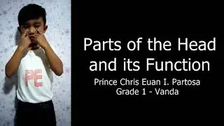 Parts of  the Head and Its Function