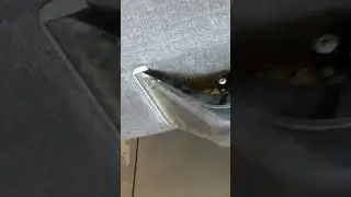 Coffee stain extraction