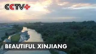 Goal of Building Beautiful Xinjiang Achieved through Green Growth