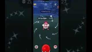 I Catch shiny Zigzagoon#shorts