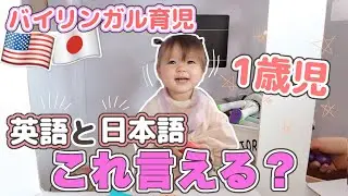 【バイリンガル育児】この言葉言えるかな？【1歳児】国際結婚｜海外生活｜新米ママ