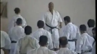 Kase Sensei-Seminar 1994-part 2 (2-4)