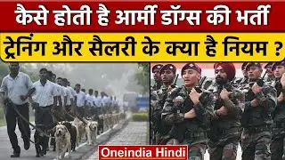 Army Recruitment Dogs: कैसे होती है भर्ती और ट्रेनिंग? कौन सी ब्रीड की मांग | वनइंडिया हिंदी |*News