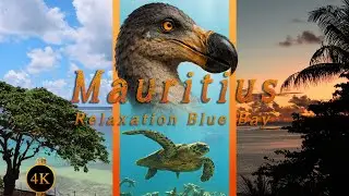Relaxing Ocean Escape in Mauritius | Blue Bay Lagoon | A Peaceful Island Escape
