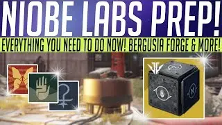 Destiny 2 // NIOBE LABS - Preparation Guide! Black Armory Event, 4th Forge & More!