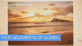 [KBS울산 문화공감] 사진전 'ELEMENTS OF ULSAN'