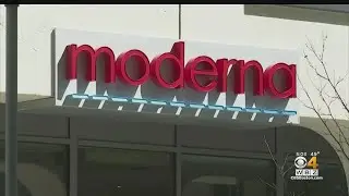 Doctor On Moderna Vaccine: 'No Safety Concerns Identified'