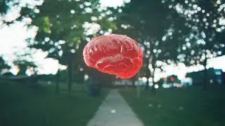The TELUS Health Brain Project - No Blank Brains &ndash; Baycrest