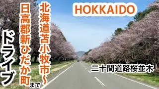 北海道苫小牧市から日高郡新ひだか町までドライブ