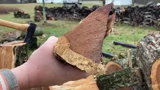 More Northern Red Oak and a mini axe Review: Hultafors Splitting axe