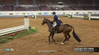 2022 Farnam AQHA and Adequan Select World Senior Working Hunter