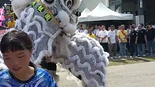 香山莊嚴喪陣10-新竹聯豐-獅陣