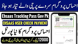 Ehsaas New web portal | ehsaas tracking pass gov pk |Ehsaas Program new Update