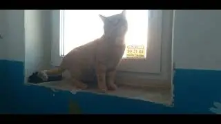 Осмотр окресностей