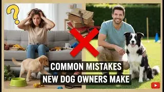 Common Mistakes New Dog Owners Make
