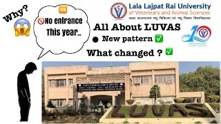 Luvas Hisar Admission 2020, Bvsc, Vlda.