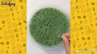 A slime boa n&eacute;