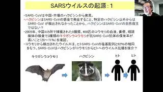 人獣共通6回の２翼手目コロナ edit