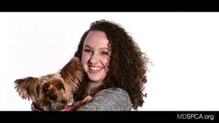 MDSPCA Online Dating Commercial Parody