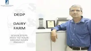 7 steps for setting up a profitable dairy farm : DEDP