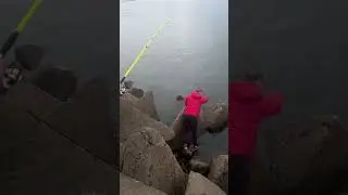 ЛЕЩ 🎣