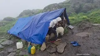 Nepali Himalayan Traditional Festival ।। organic checken & Sheep cooking of outdoor jungle।।