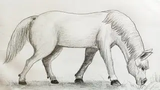 How to draw a horse. घोड़ा और घास!!!😳