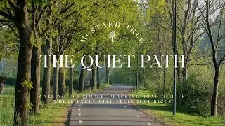 The Quiet Path 🌿 Calm Piano Music for Deep Sleep, Study, Peaceful, Relaxing, Soothing and Healing