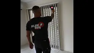 Termite Inspection & Pest Control Solutions in Brisbane  Slug Bug Pest Control