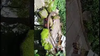 Garden train doing a vertical loop next to the koi pool