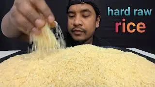 HARD RAW RICE EATING ASMR WITH HANDS ✋️ | RAW RICE EATING | RAW RICE EATING VIDEOS | MUKBANG SHOW
