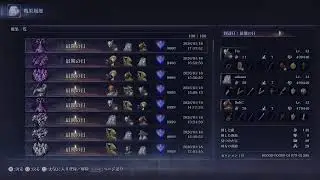 PS5版　ナイトレイン　深き夜　野良