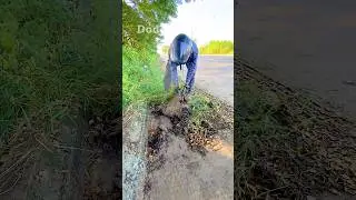 Rubbish and Grass Removal Therapy Pure ASMR Satisfaction 🌿